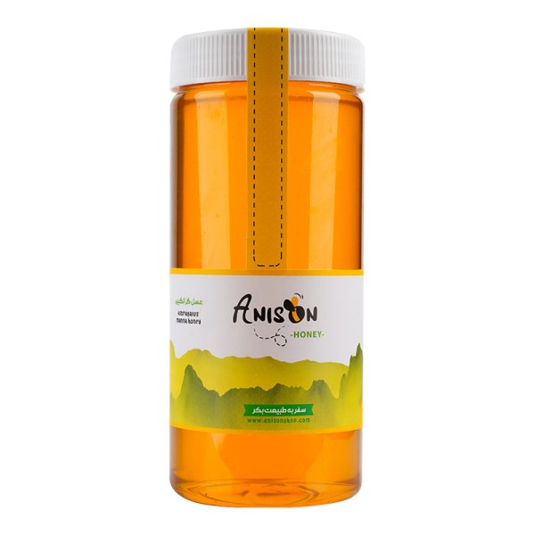 Anison Astragalus Honey 500gr