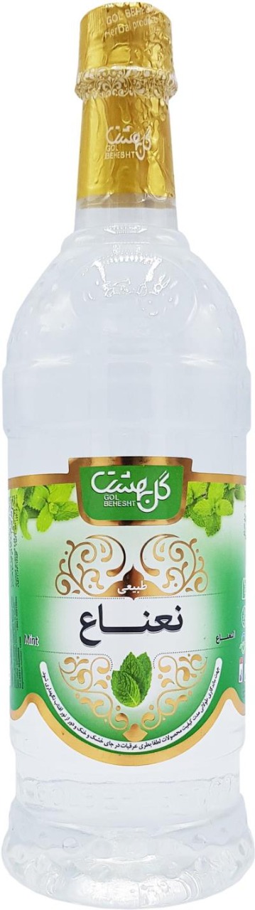 Gol Behesht Mint Herbal Distillate 700ml – Refreshing Persian Mint Tonic for Digestion & Hydration